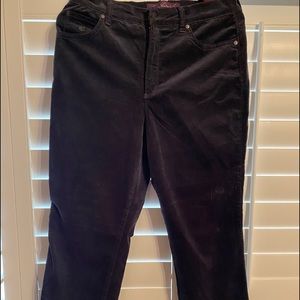 Gloria Vanderbilt Navy Corduroy pants.
